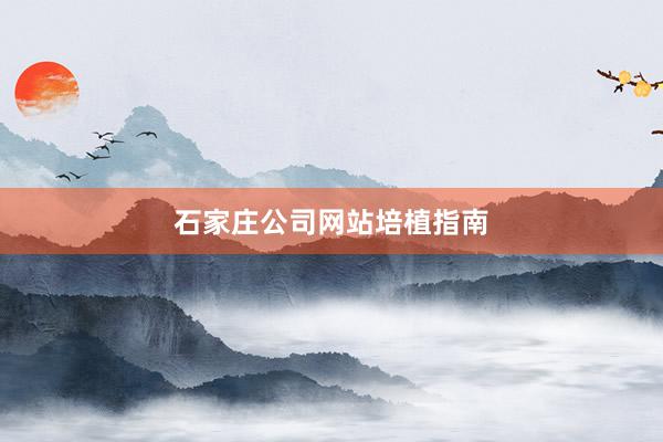 石家庄公司网站培植指南