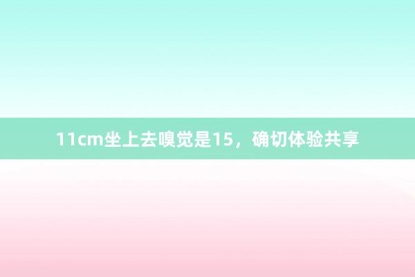 11cm坐上去嗅觉是15，确切体验共享