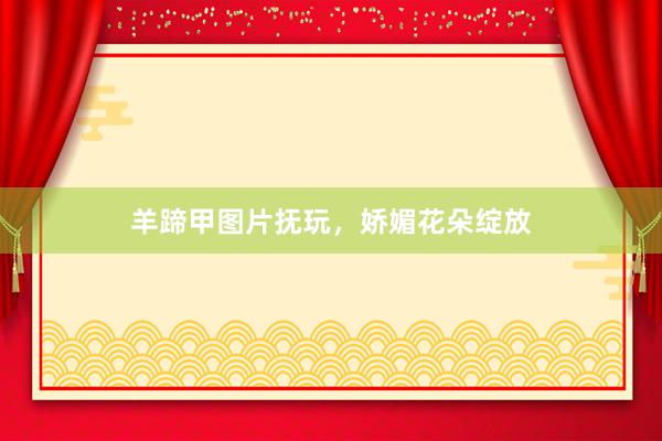 羊蹄甲图片抚玩，娇媚花朵绽放