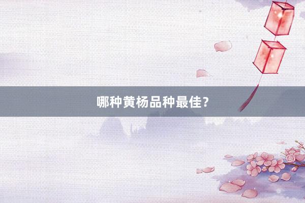 哪种黄杨品种最佳？