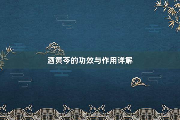 酒黄芩的功效与作用详解